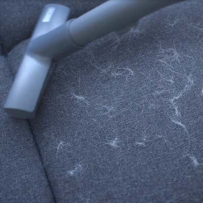 Vacuuming hair from the sofa