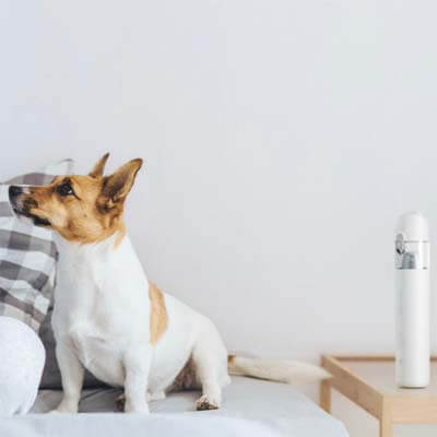Aspirapolvere portatile Xiaomi Mijia per animali domestici