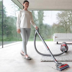 Dyson Cinetic Big Ball Absolute cleaning carpet